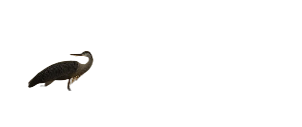 jewelry, staff, furniture, sword transparent PNG cut-out