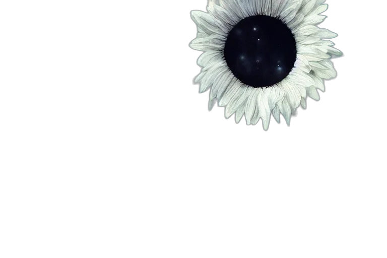 flower, jewelry, crown, dress transparent PNG cut-out