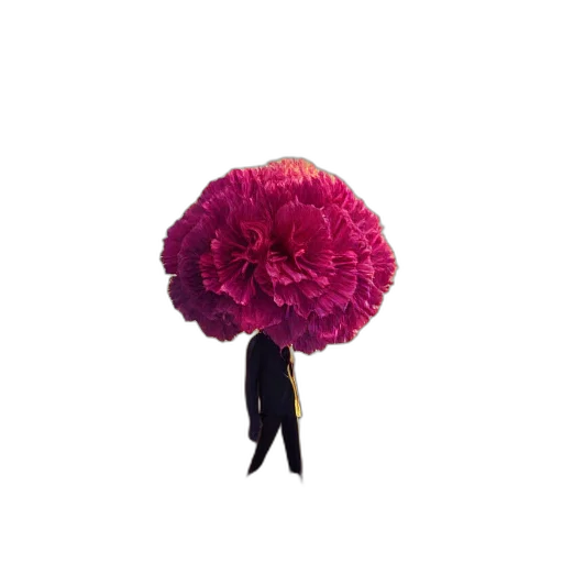 flower, umbrella, crown, staff transparent PNG cut-out