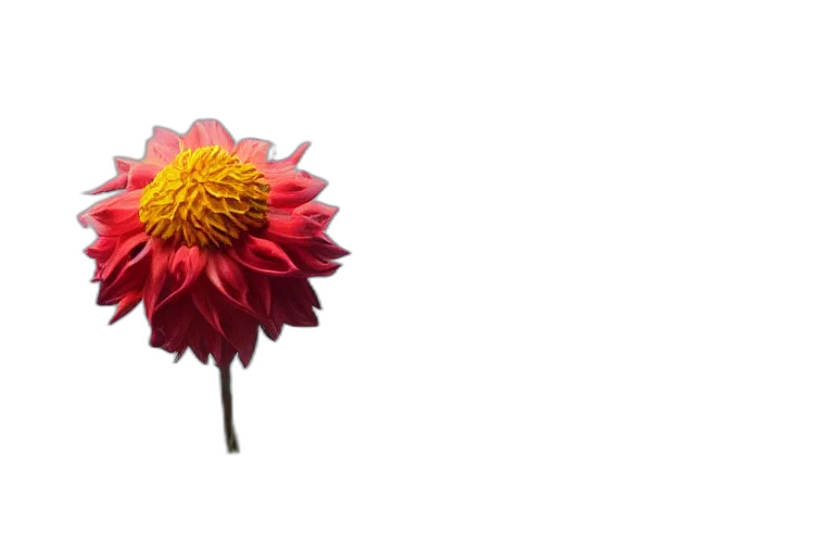 flower, crown, umbrella, staff transparent PNG cut-out