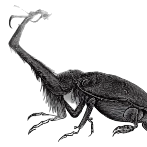 creature, animal, dragon, staff transparent PNG cut-out