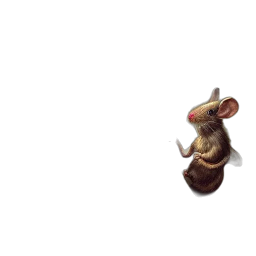 animal, creature, food, hat transparent PNG cut-out