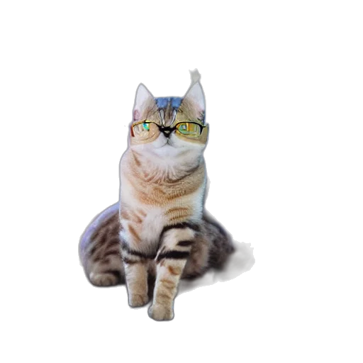 animal, staff, creature, robot transparent PNG cut-out
