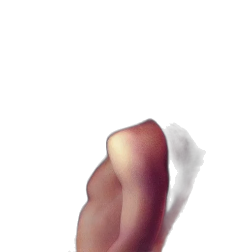 face, hair, shoes, creature transparent PNG cut-out