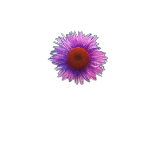 flower, crown, jewelry, staff transparent PNG cut-out