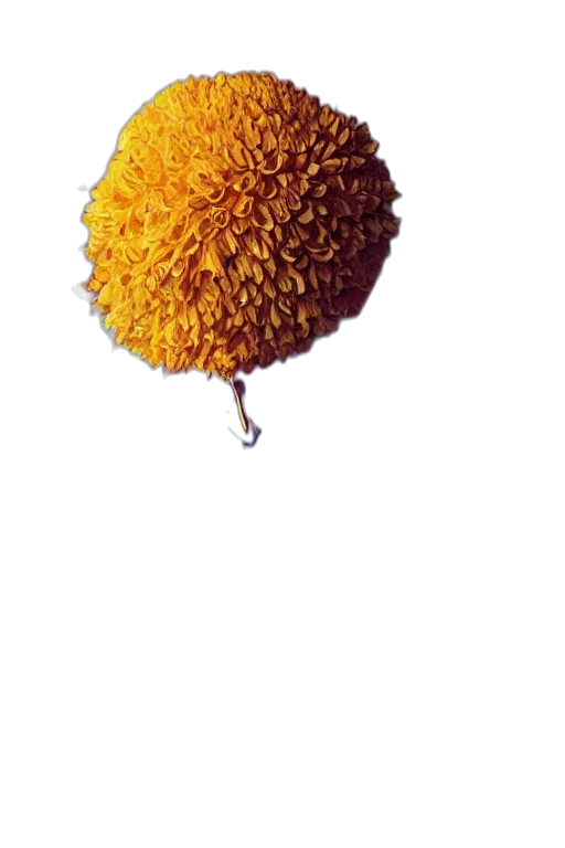 flower, umbrella, staff, food transparent PNG cut-out