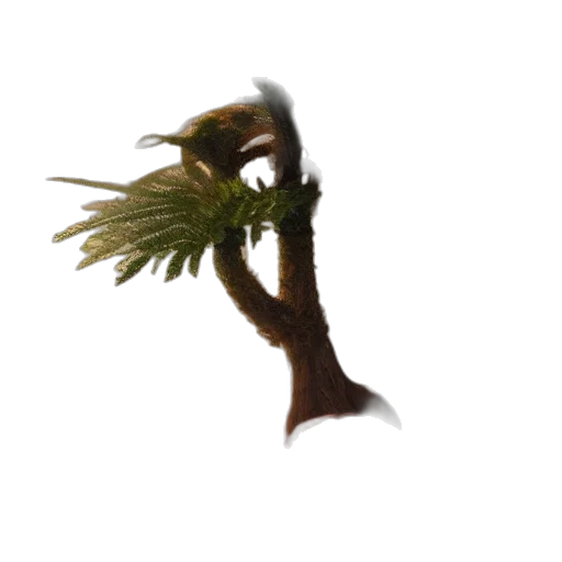 tree, hair, staff, hat transparent PNG cut-out
