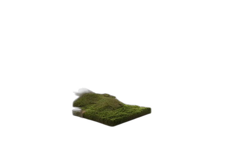 shoes, tree, hat, dress transparent PNG cut-out