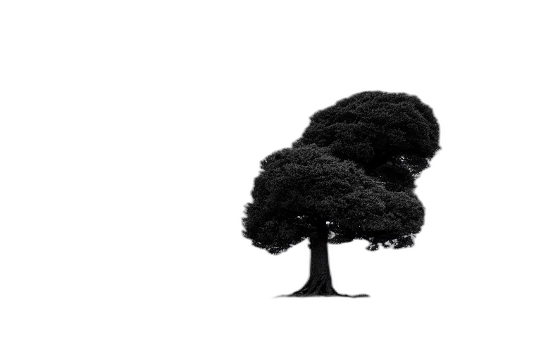 tree, crown, hair, animal transparent PNG cut-out