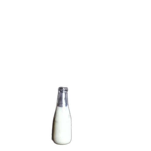 bottle, food, weapon, animal transparent PNG cut-out