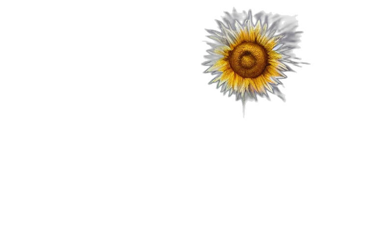 flower, crown, weapon, staff transparent PNG cut-out
