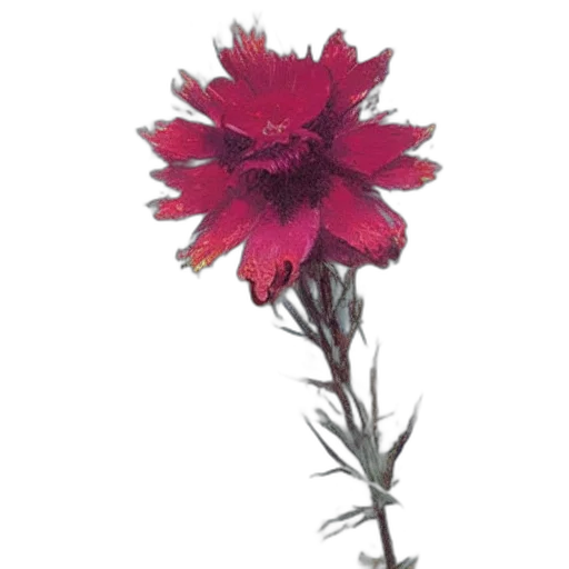 flower, crown, animal, staff transparent PNG cut-out