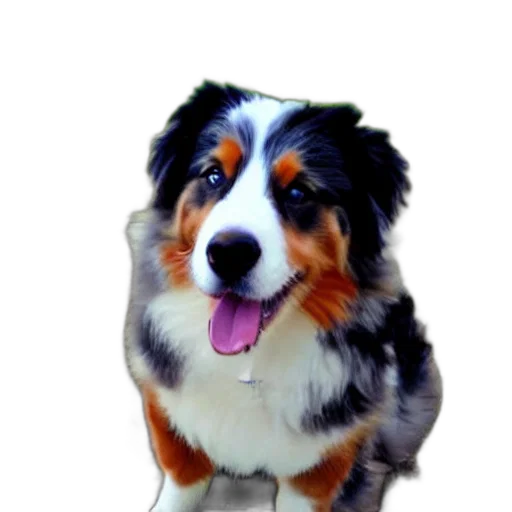 animal, staff, creature, face transparent PNG cut-out