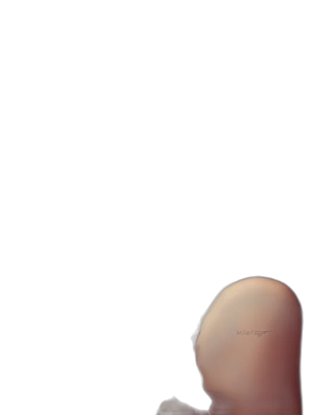 face, hair, mask, robot transparent PNG cut-out