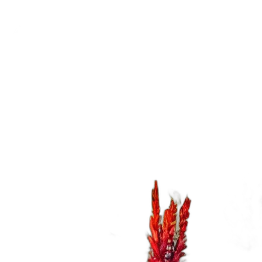 flower, crown, staff, animal transparent PNG cut-out
