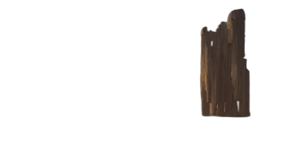 furniture, hair, crown, staff transparent PNG cut-out