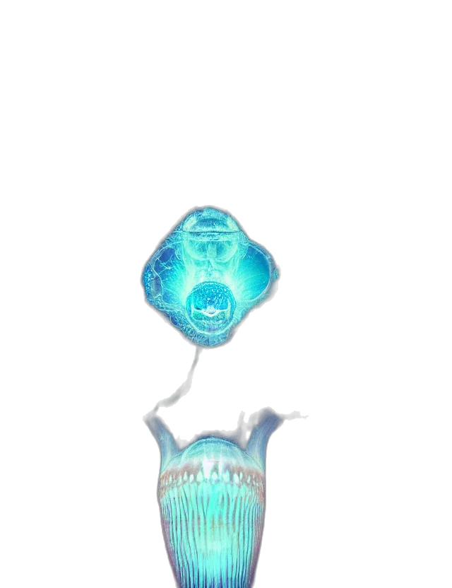 bottle, creature, crown, mask transparent PNG cut-out