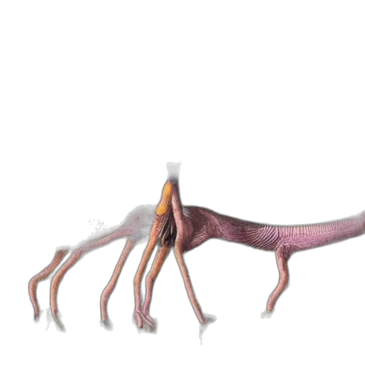 creature, animal, dragon, staff transparent PNG cut-out