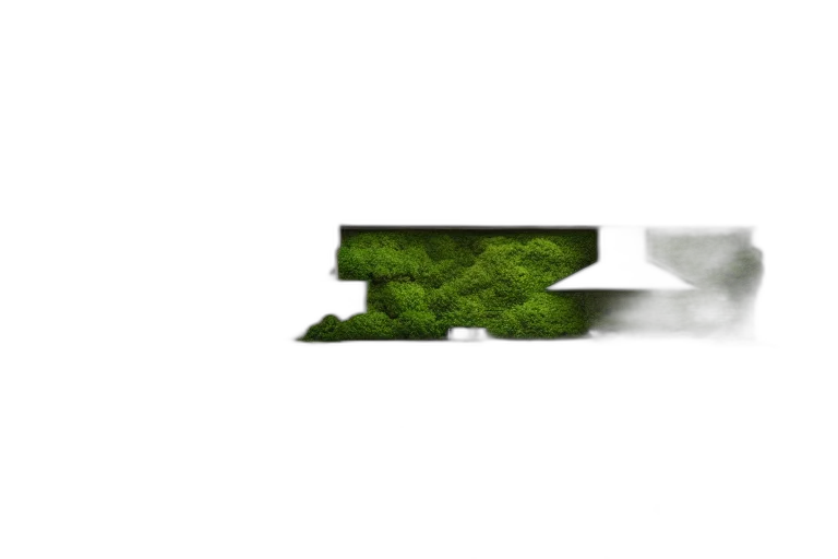 sword, tree, weapon, crown transparent PNG cut-out