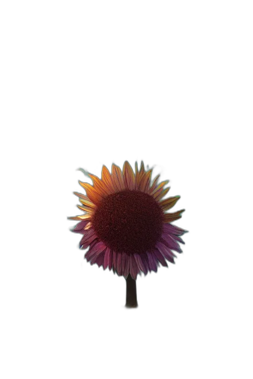 flower, staff, crown, umbrella transparent PNG cut-out
