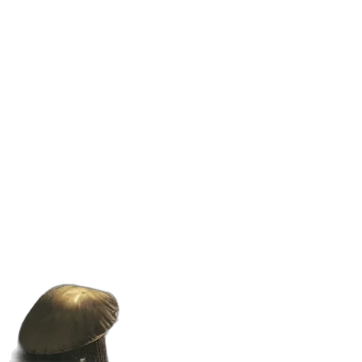 hat, crown, staff, weapon transparent PNG cut-out
