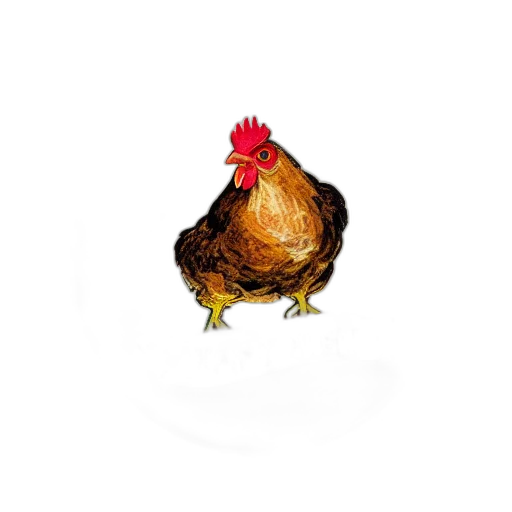 animal, food, jewelry, creature transparent PNG cut-out