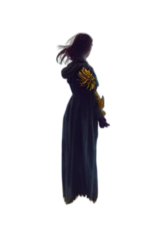 dress, staff, jacket, crown transparent PNG cut-out