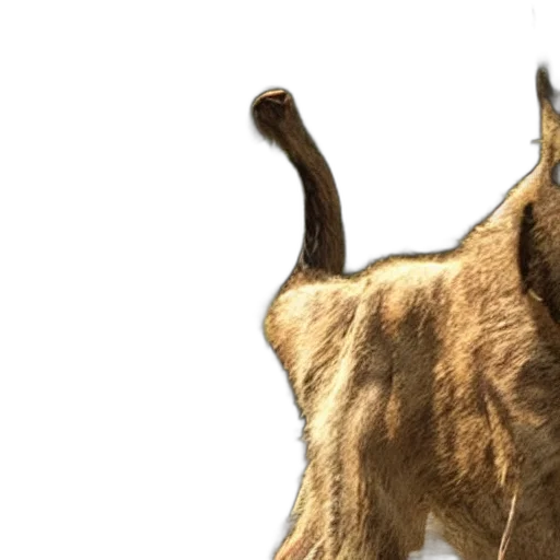 animal, creature, staff, 3d render transparent PNG cut-out