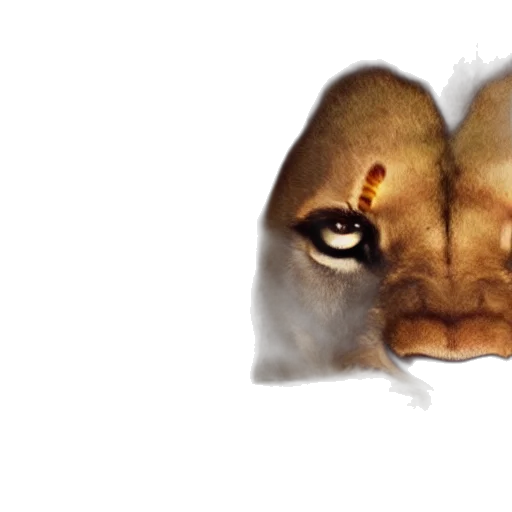 mask, animal, face, crown transparent PNG cut-out