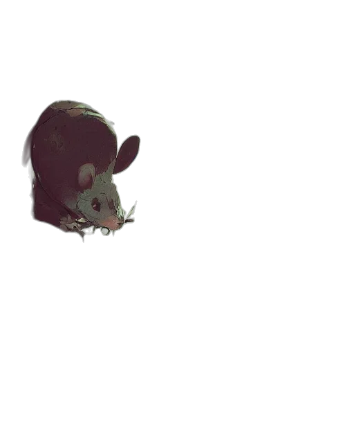 hat, creature, mask, face transparent PNG cut-out