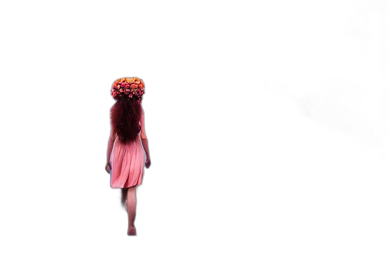 dress, hair, hat, crown transparent PNG cut-out