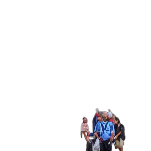 animal, jacket, shoes, creature transparent PNG cut-out