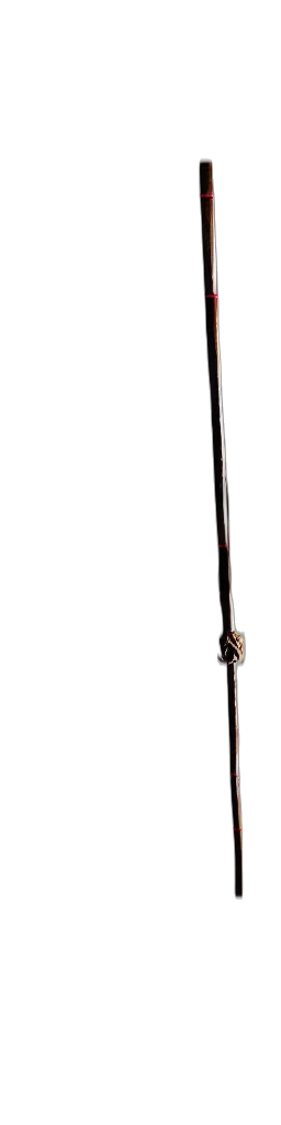 staff, sword, weapon, umbrella transparent PNG cut-out