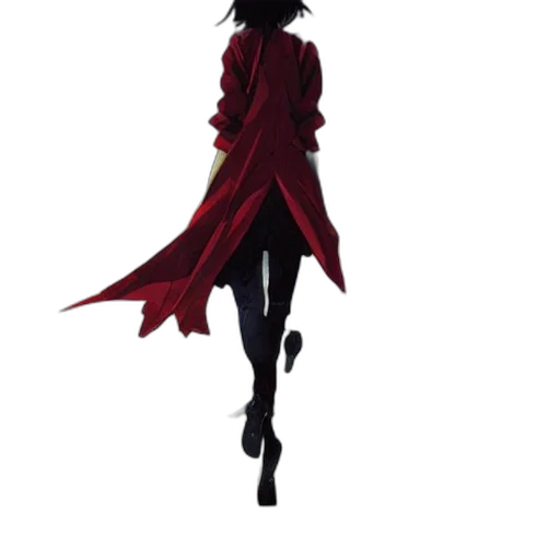 jacket, staff, sword, dress transparent PNG cut-out