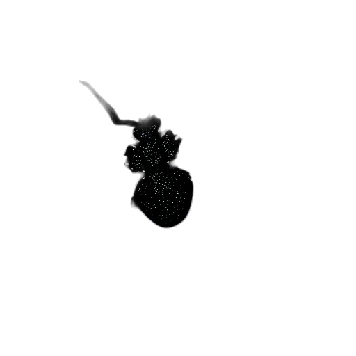 crown, hat, dragon, jewelry transparent PNG cut-out
