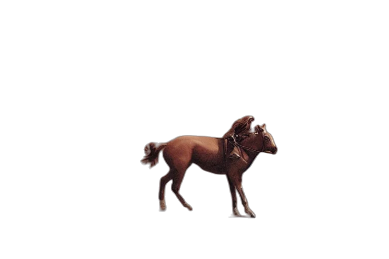 animal, creature, staff, furniture transparent PNG cut-out