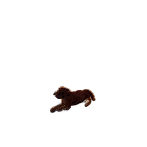 animal, creature, hair, staff transparent PNG cut-out