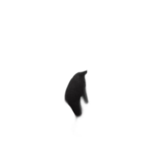shoes, hat, hair, animal transparent PNG cut-out