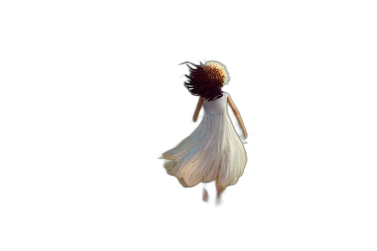 dress, hair, creature, crown transparent PNG cut-out