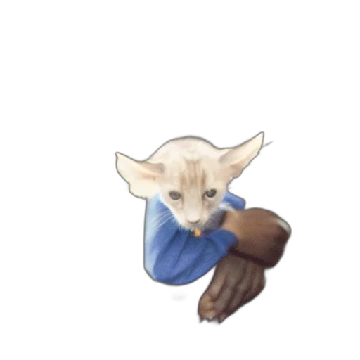 staff, creature, animal, mask transparent PNG cut-out