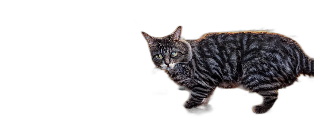 animal, creature, weapon, staff transparent PNG cut-out