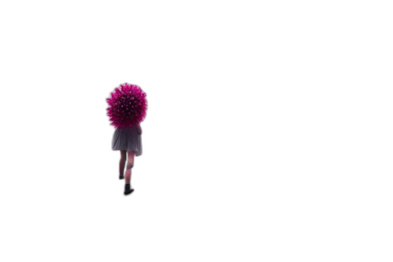 flower, hair, umbrella, staff transparent PNG cut-out