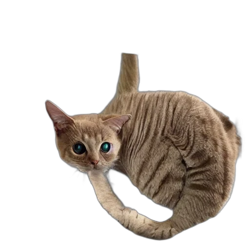 animal, creature, staff, weapon transparent PNG cut-out
