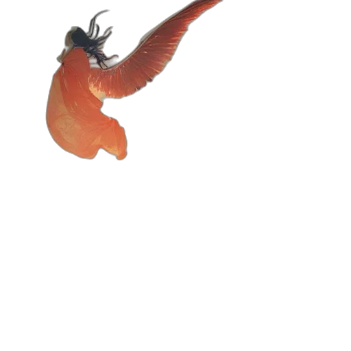 dragon, animal, creature, staff transparent PNG cut-out