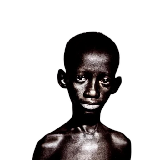 face, animal, creature, mask transparent PNG cut-out