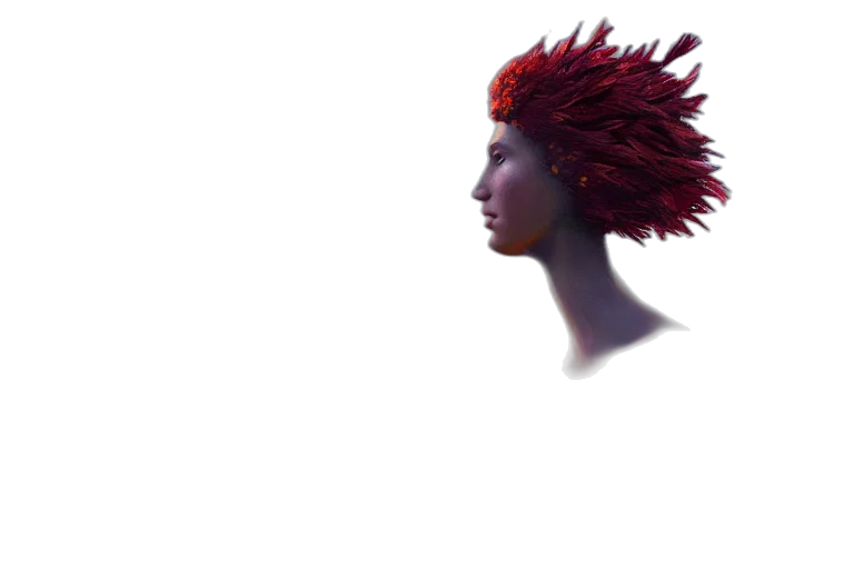 crown, hat, hair, face transparent PNG cut-out