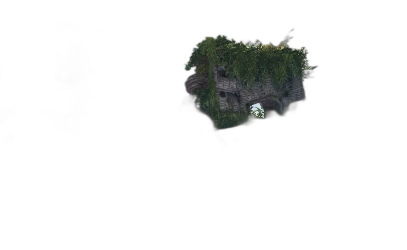 tree, crown, hair, hat transparent PNG cut-out