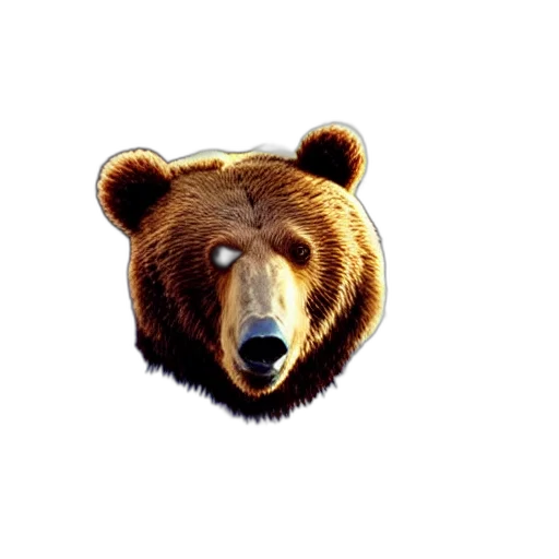 animal, face, creature, pixel art transparent PNG cut-out