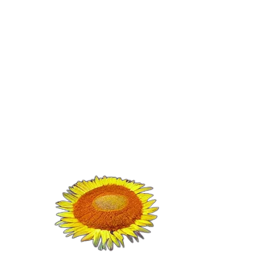 flower, crown, food, jewelry transparent PNG cut-out