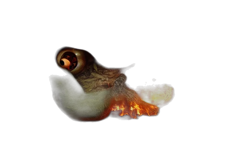dragon, food, animal, mask transparent PNG cut-out